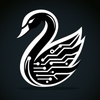 Black Swan Cyber Security Solutions