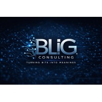 BLiG Consulting